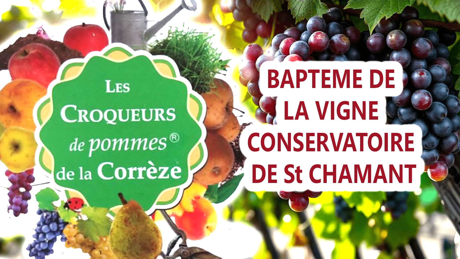 bapteme de la vigne conservatoire Roger Pouget à St Chamant par les Croqueurs de Pomme de Corrèze 18 Avril 2026