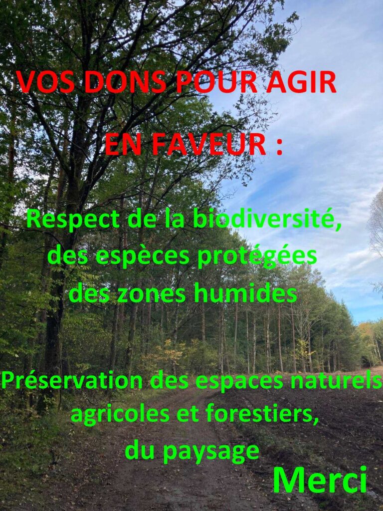 Image forets qui sera rasée à Darnets Photovoltaïque Darnets