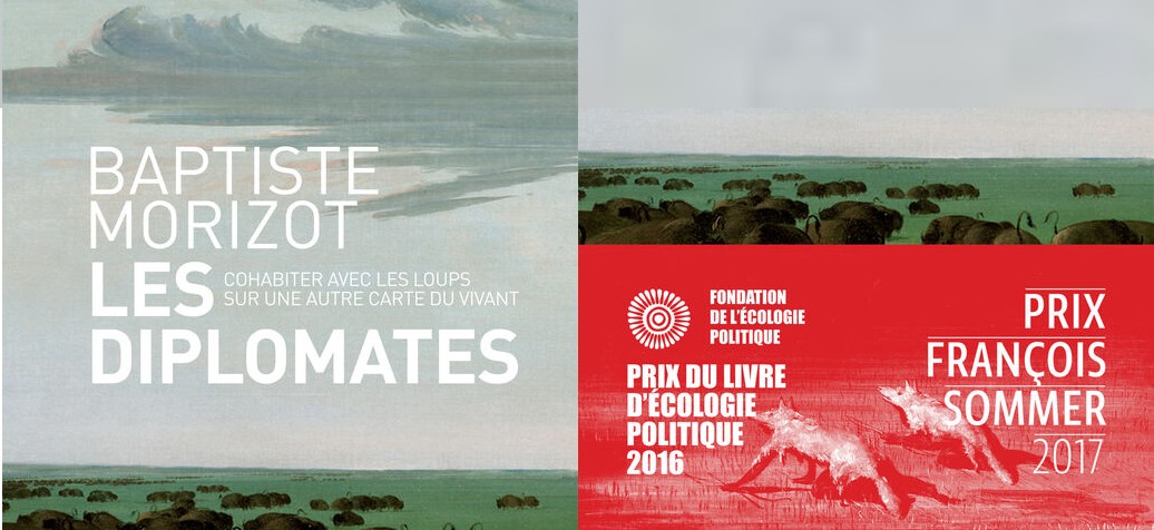 baptiste morizot écologie