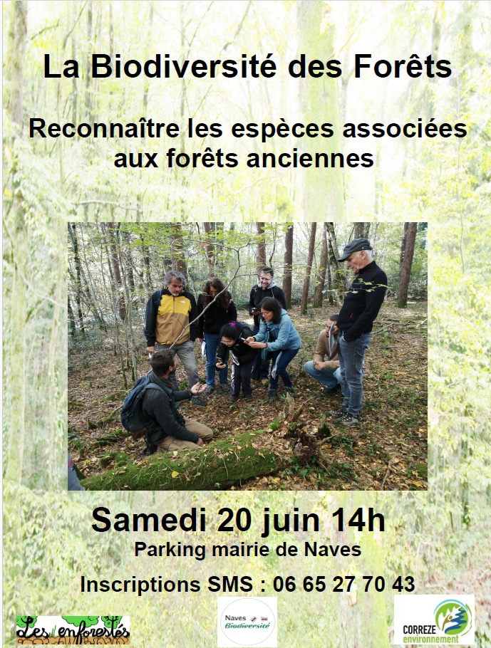 biodiversité des forets anciennes - les enforestes de Tulle