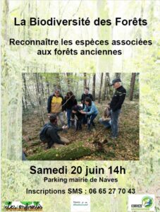 La Biodiversité des Forêts - Reconnaître les espèces associées aux forêts anciennes @  |  |  | 