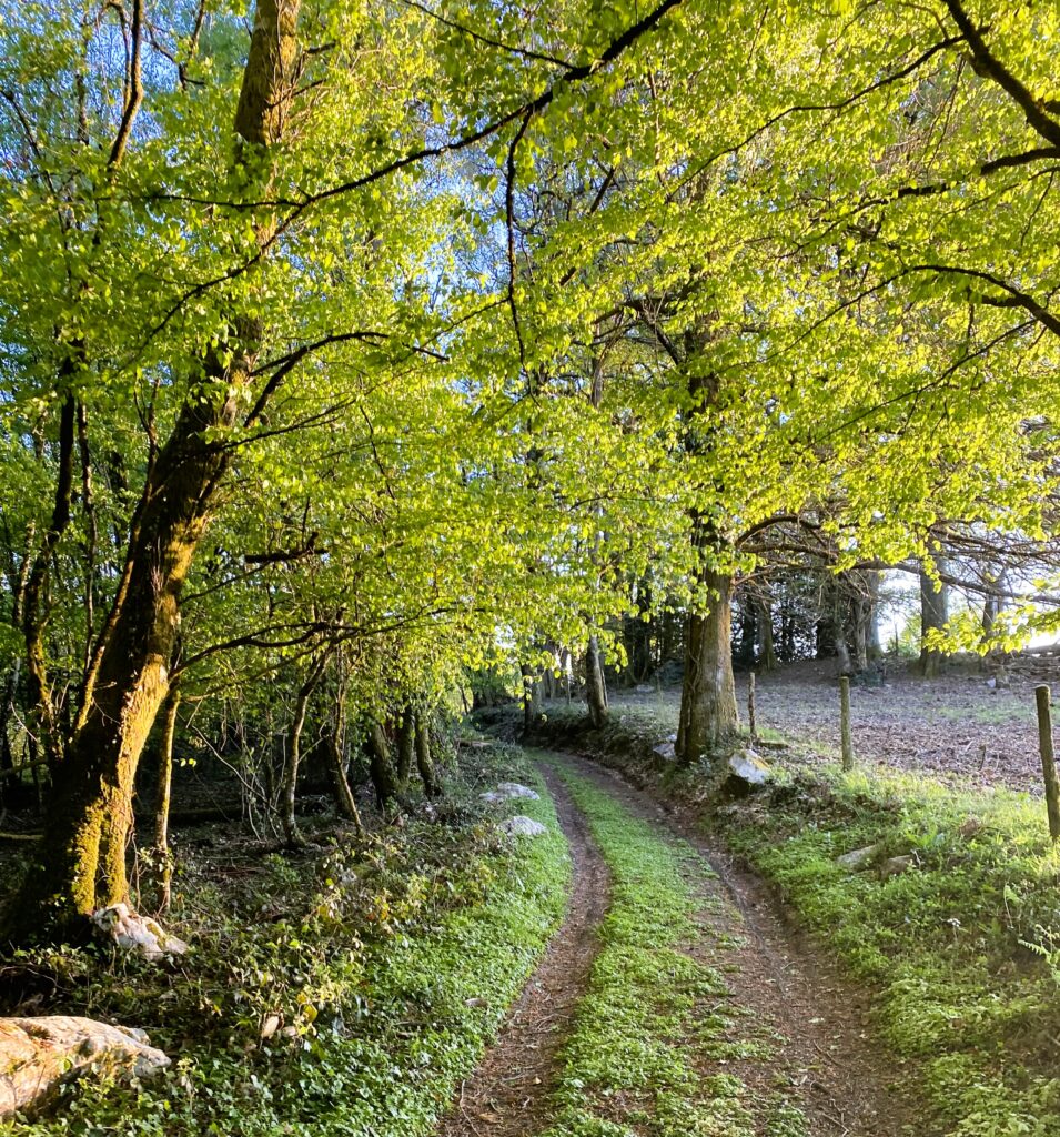le chemin des prés
