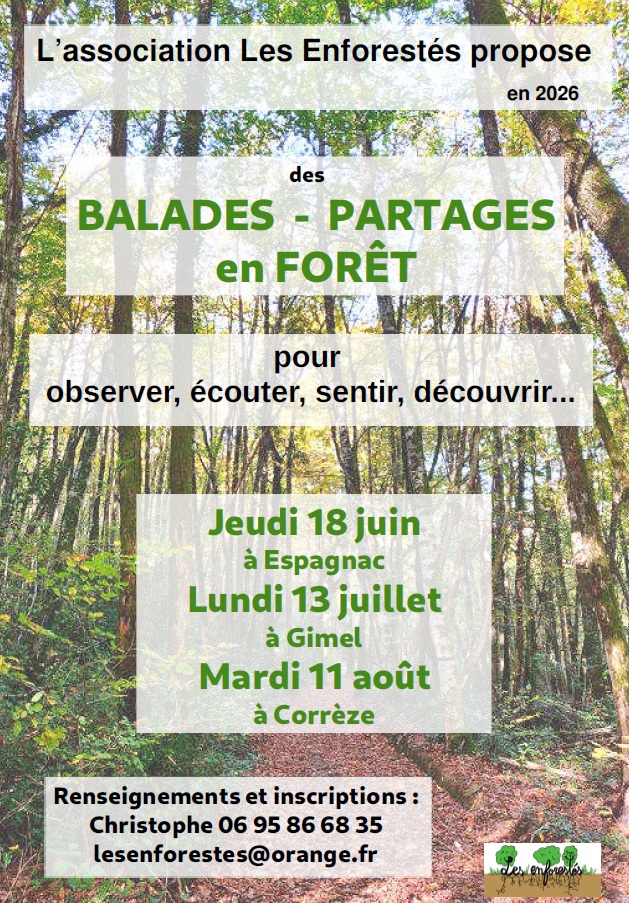 enforestes ete 26