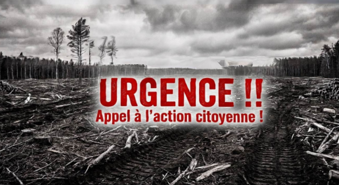 PNFBaction citoyenne sylvyculture