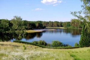 Atelier-découverte « Le petite peuple des eaux » au Lac de Feyt @ Servières-le-Château / Domaine du Lac de Feyt