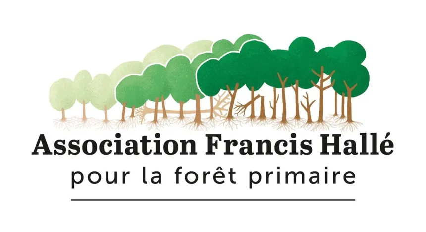 association francis Hallé pour la foret primaire