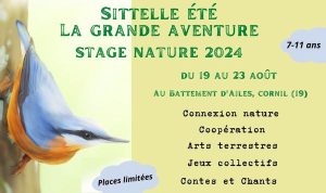 Atelier nature Sitelle aout 2024