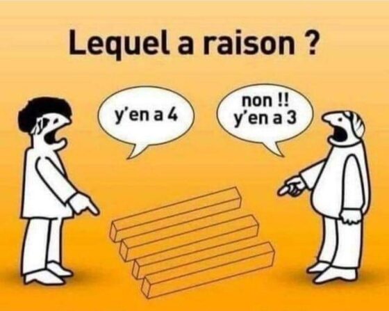 Lequel a raison